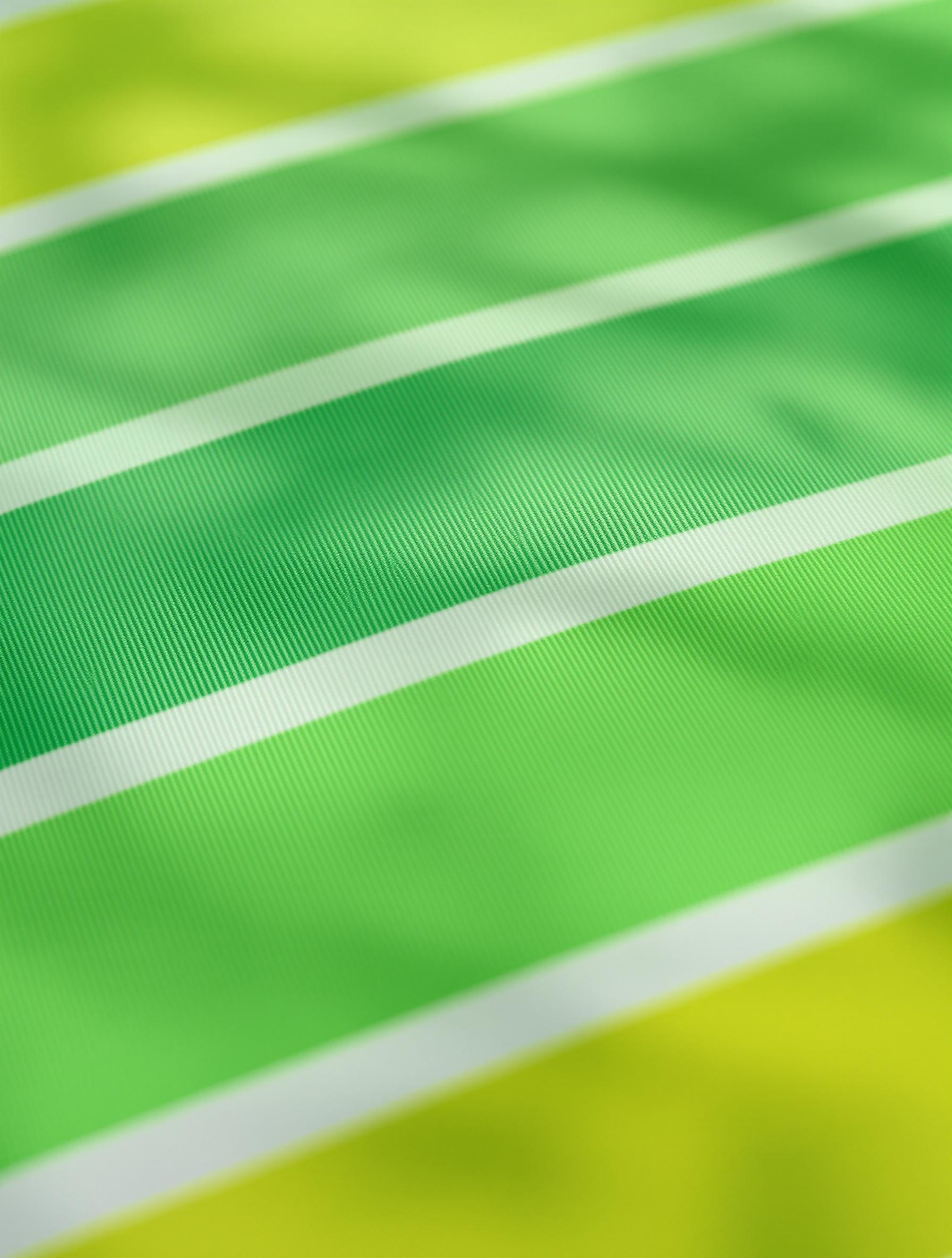 Comparatif des bandes de couleur illustrant la vitalité de Pantone 15-0343 face à Emerald et Lime Punch.