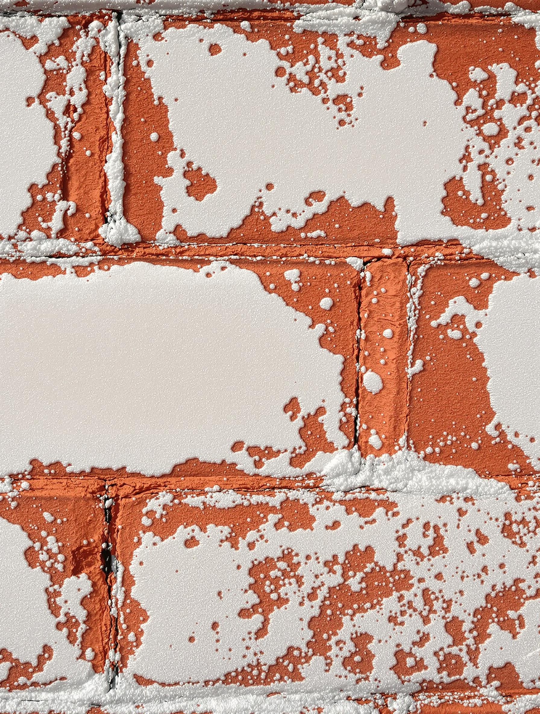 Mur en brique nettoyé avec vinaigre blanc et bicarbonate, révélant un contraste subtil.