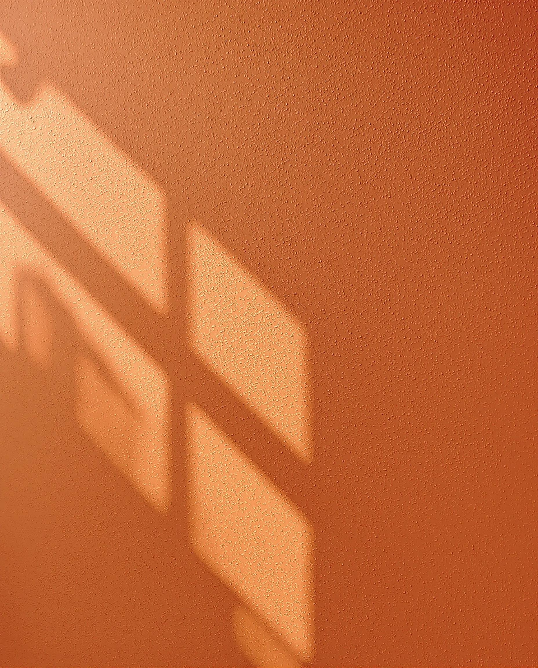 Mur en chaux sablée orange brûlé avec lumière naturelle.