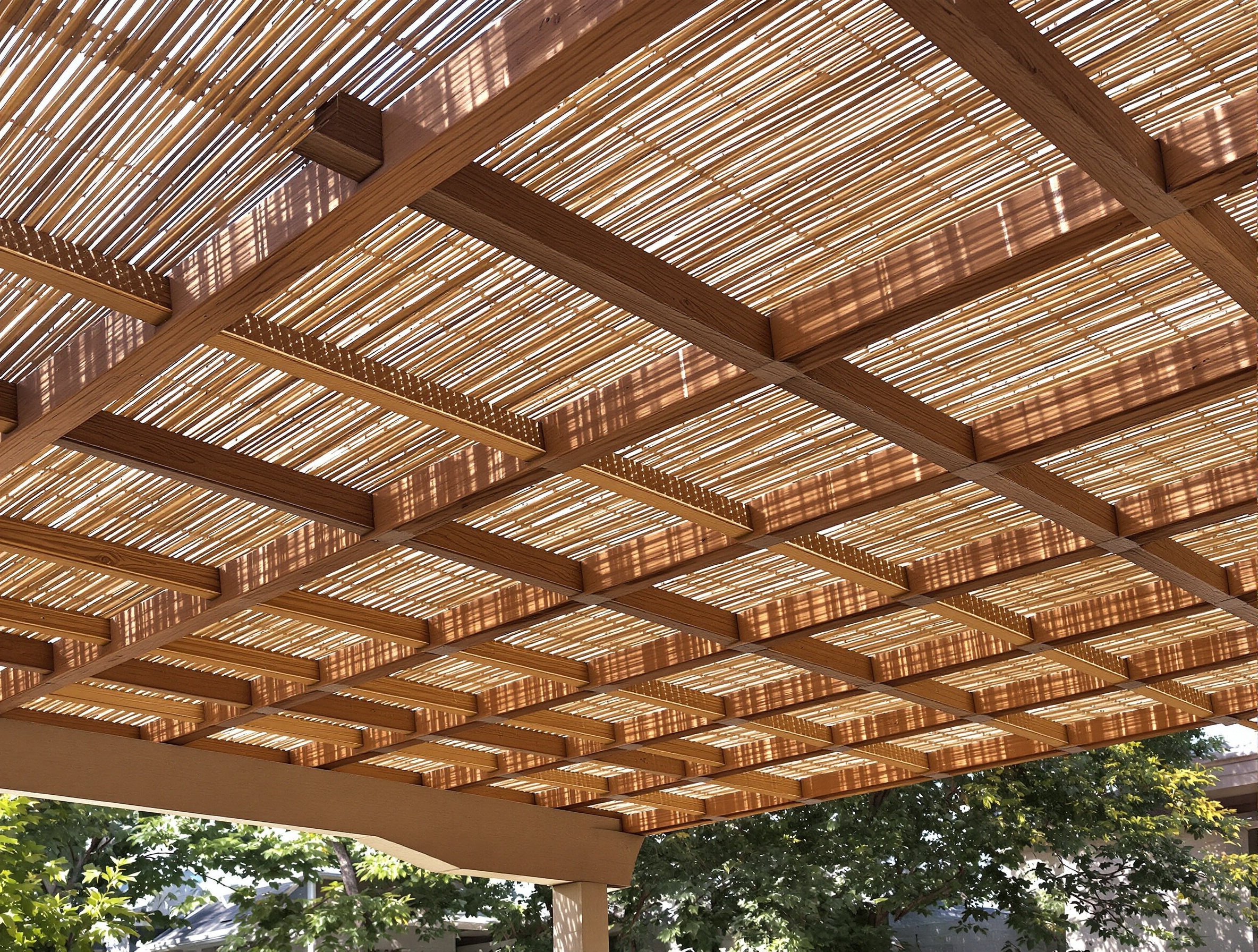 Ombres délicates projetées par une canisse en bambou sur une terrasse en pierre.