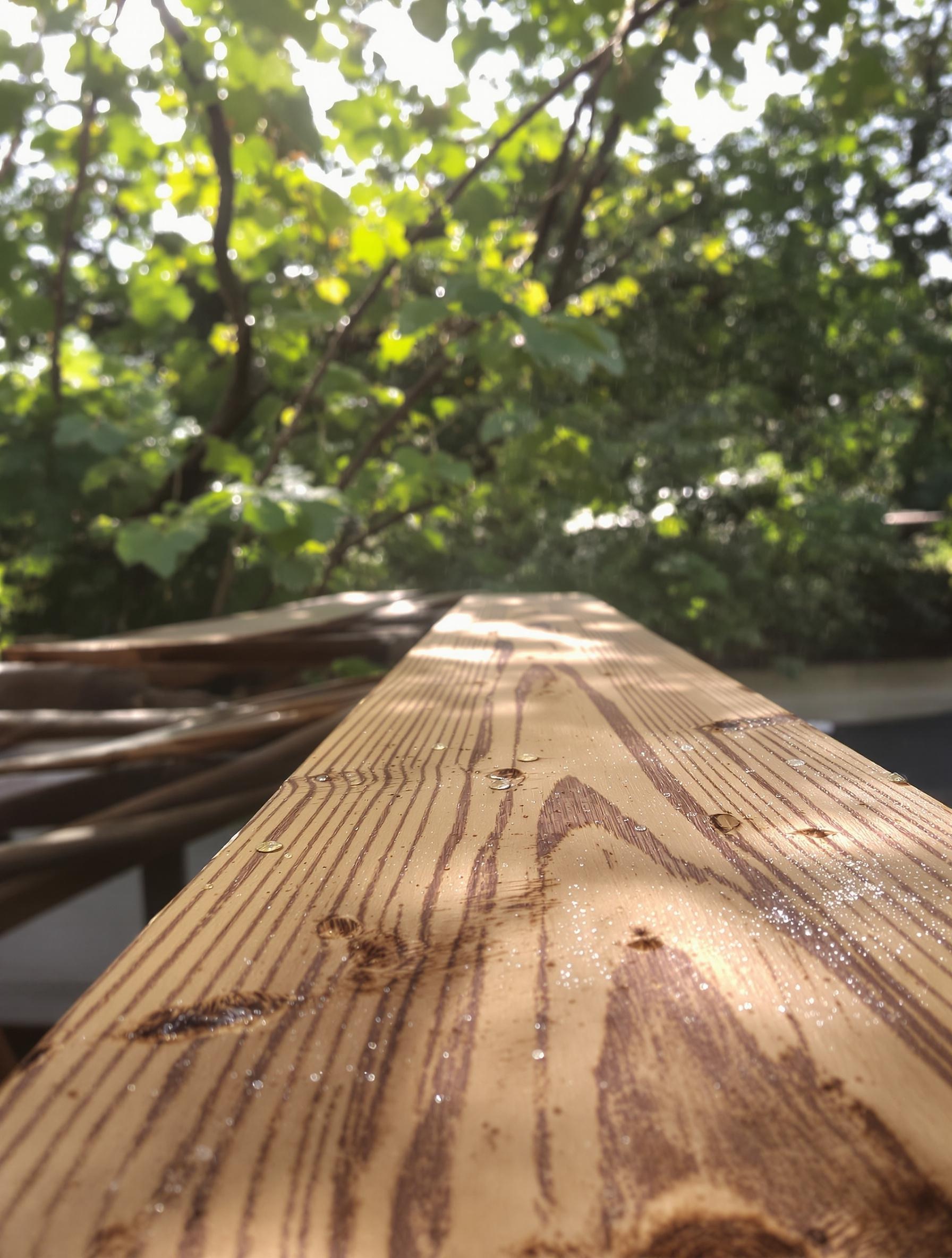 Planche de cèdre Sugi en séchage naturel.